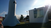 ハル