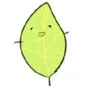 萝卜