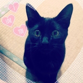 ぐりちゃん。