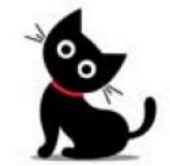 黒い猫