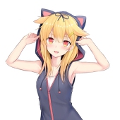 midorykawaa