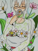 雛菊