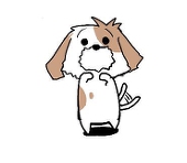 冷やし中華