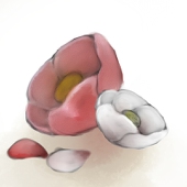 一宮