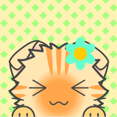 黄猫