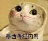 阿枭