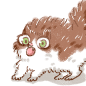 fluffyneco
