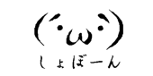 (´・ω・｀)
