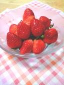 月駱駝