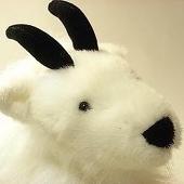 やぎ