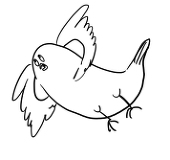コバト