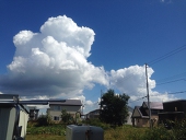 青雲 陵