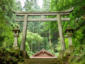 新城