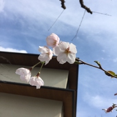 なたあ