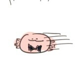 dduckbab