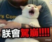 inoue井上井上