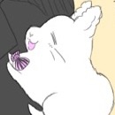まちゃ/みーしゃ