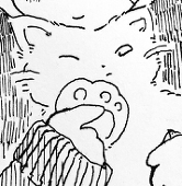 81