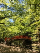 宮@眠