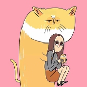 你说说这是几个猫