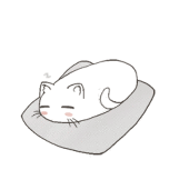 内涵喵老师