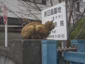 もる