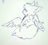 墨鸟桑