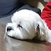 とも
