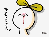 きちこ