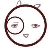 小五
