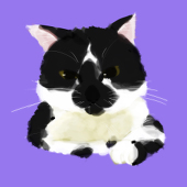 わかめ
