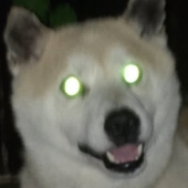 rasou