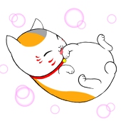 ゆきち