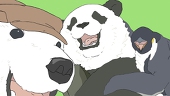 Hachi