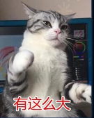 奈奈喵