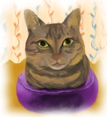 黒猫。