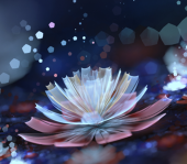 瑶華