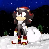 SonamyHedge