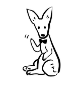 セリカワミ津