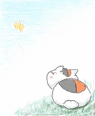 nezumi_5kkt