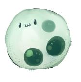 照弓
