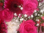 花☆