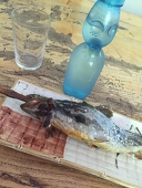 キロヒ