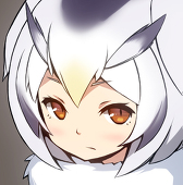 608