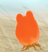 ホヤ