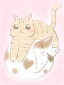 もみか