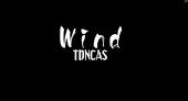 WindTDNCAS