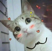 十三十