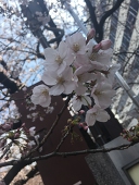 明音