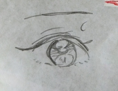 つばさ